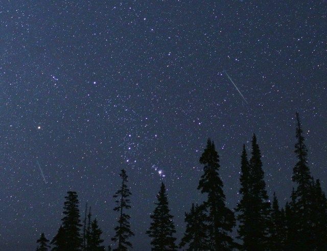 Starry night with meteors streaking above the trees. The constellation Orion is visible