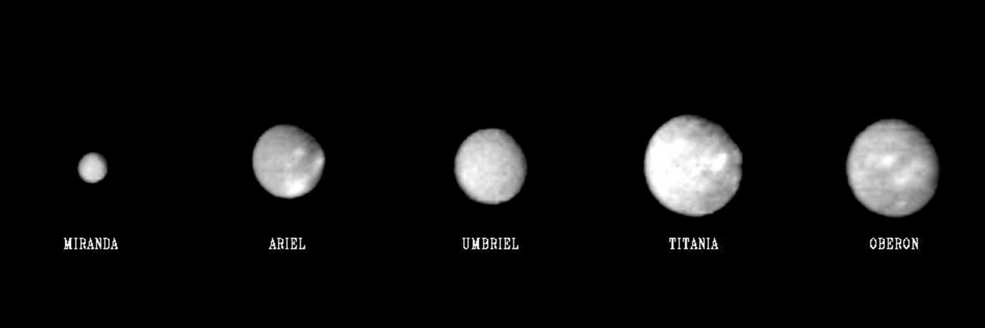 A panel showing the five major moons of Uranus