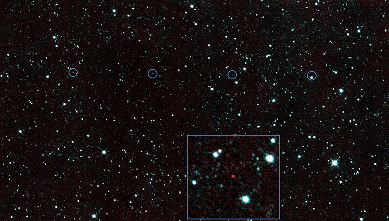 NEOWISE First Images