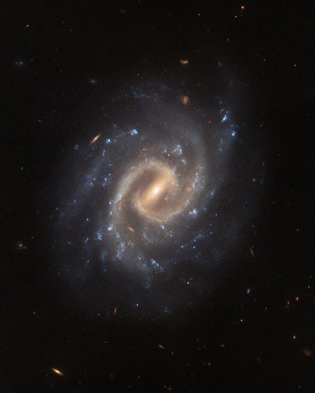 A broad spiral galaxy seen directly face-on. It has two bright spiral arms that extend from a bar, which shines from the very center. Additional fainter arms branch off from these, studded with bright blue patches of star formation. Small, distant galaxies are dotted around it, on a dark background.