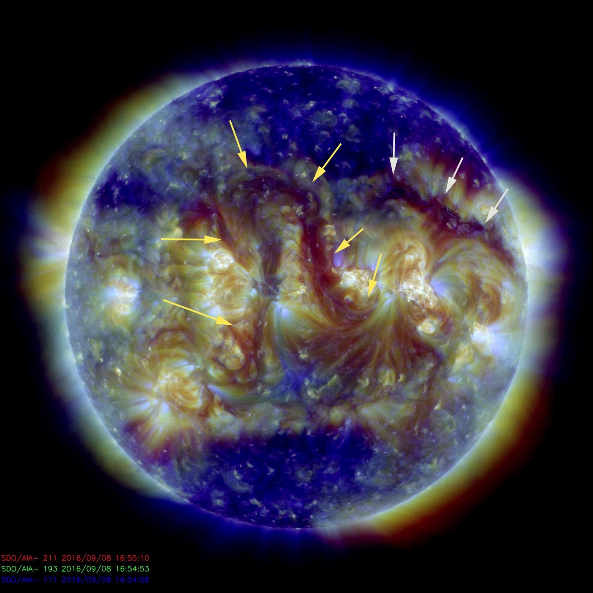 A pair of elongated filaments observed across the Sun. The image was made by combining three images in different wavelengths of extreme ultraviolet light shown in blues, yellow and dark red.