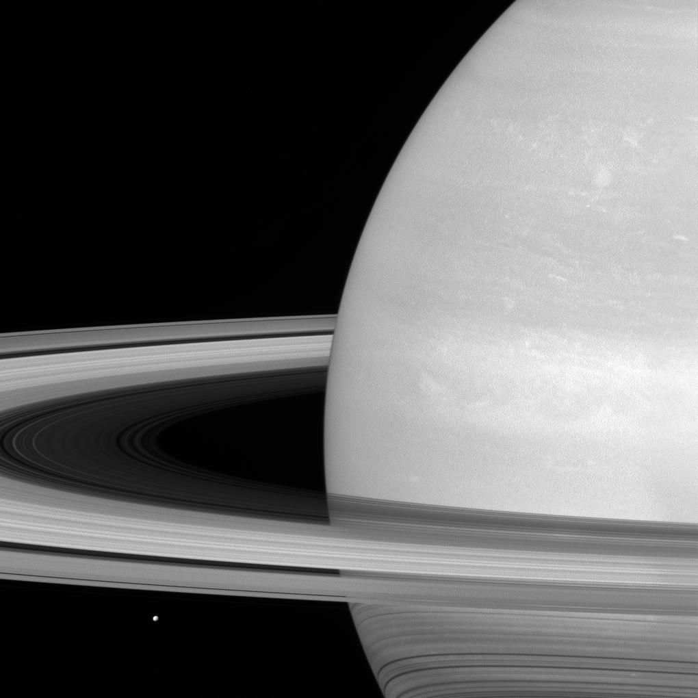 Saturn's icy moon Mimas is dwarfed by the planet's enormous rings.