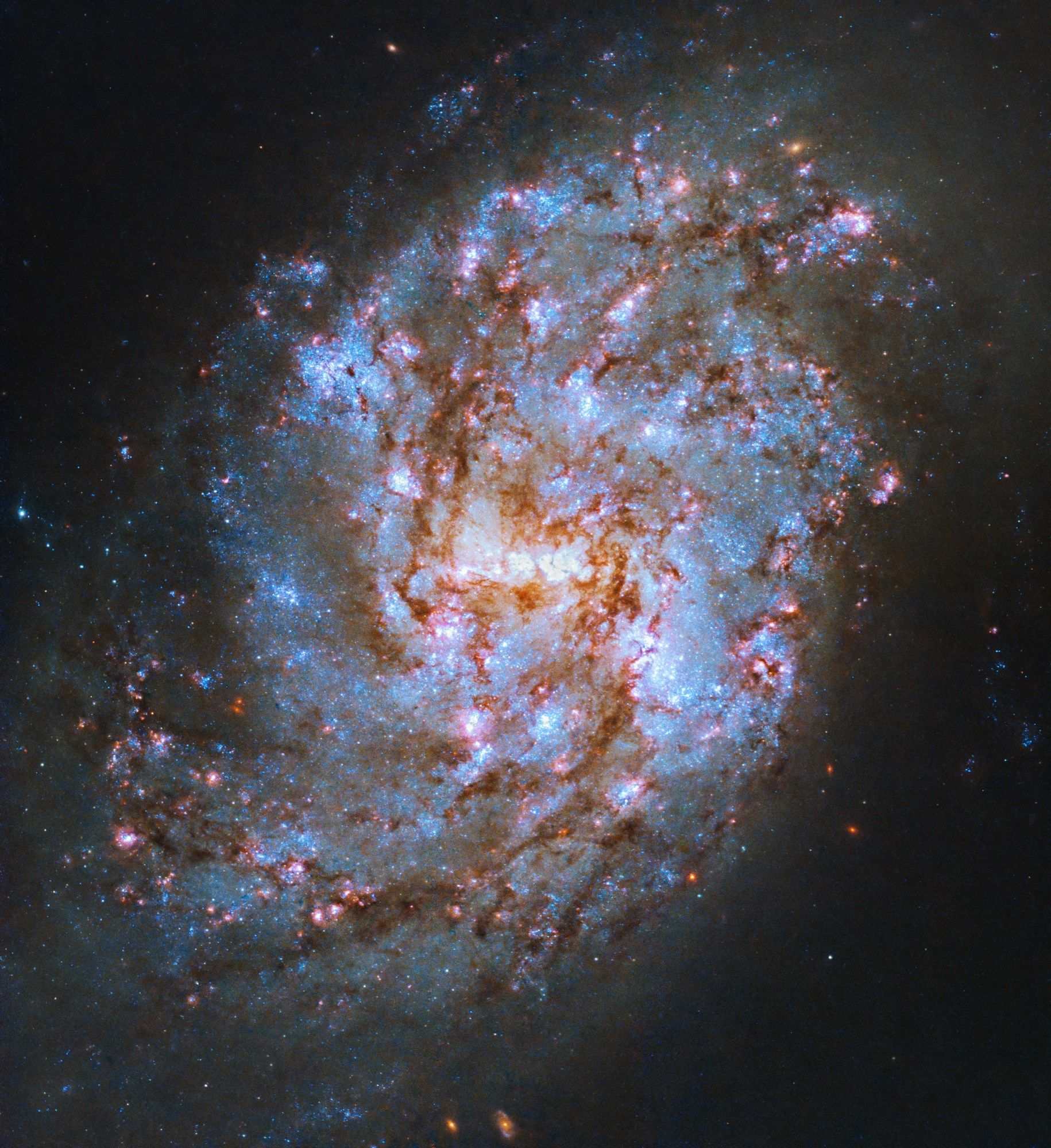 This nearly face-on spiral galaxy has bright blue-white and pink regions outlined by dark, rusty-brown dust lanes. A small, bright-white bar of stars stretches horizontally across the image’s center at the galaxy’s heart.