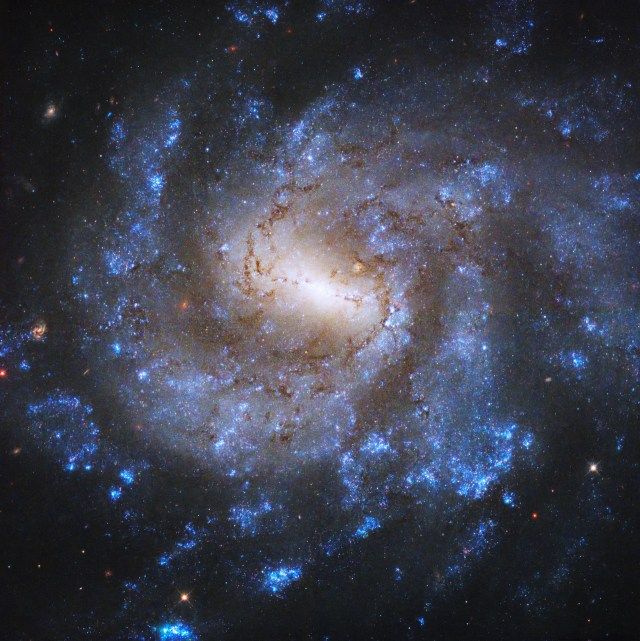 A face-on spiral galaxy with bright, blue-white spiral arms and dark, reddish-brown dust lanes. A bright-white bar of stars extends through the center of the galaxy. Small, more distant, reddish galaxies are visible in the background.