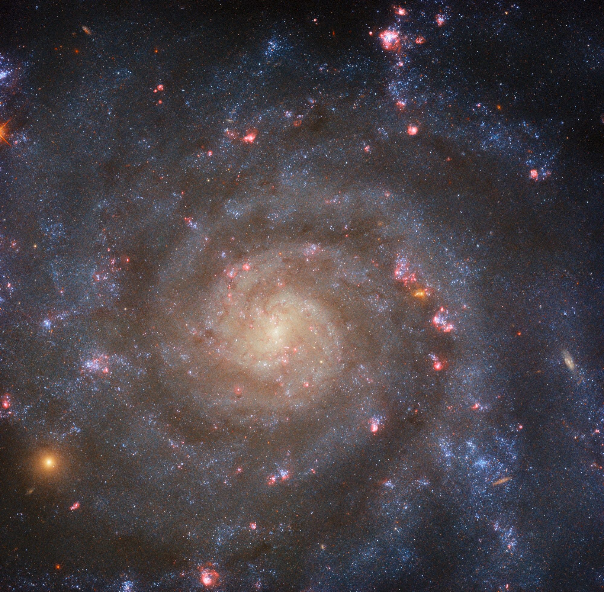 A close-in view of a spiral galaxy. We see it face-on, showing its circular shape and tightly winding spiral arms. The galaxy glows brightly in the center and dims to cool colors toward the edge. Dark, faint filaments of dust and brightly glowing pink and orange bubbles of star formation mark the face of the galaxy.