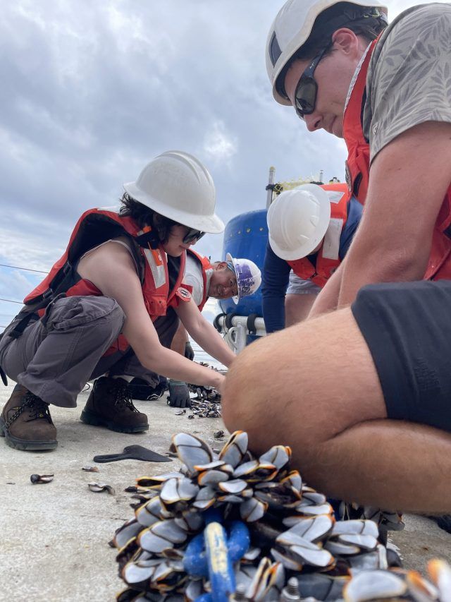 Systems Integration and Operationalization (SIO) mooring team members Noah Howins, Cindy Tran, and Spencer Kawamoto removing the gooseneck barnacles from the instrumentation.