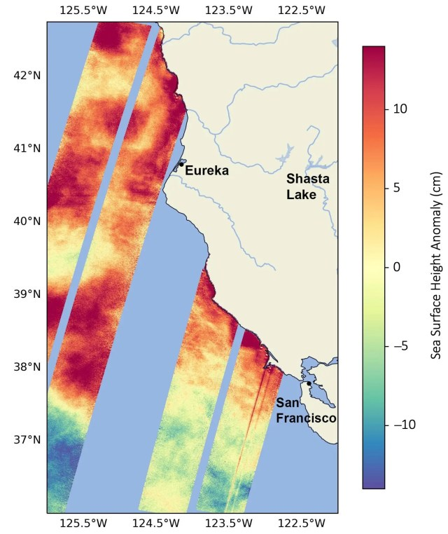 This data visualization shows sea surface heights off the northern California coast in August as measured by the Surface Water and Ocean Topography (SWOT) satellite. Red indicates higher-than-average heights, due to a marine heat wave and a developing El Niño, while blue signals lower-than-average heights.