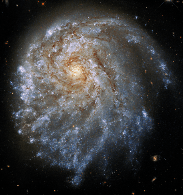 Spirals of gas and dsut emenate from a central point in a spiral galaxy