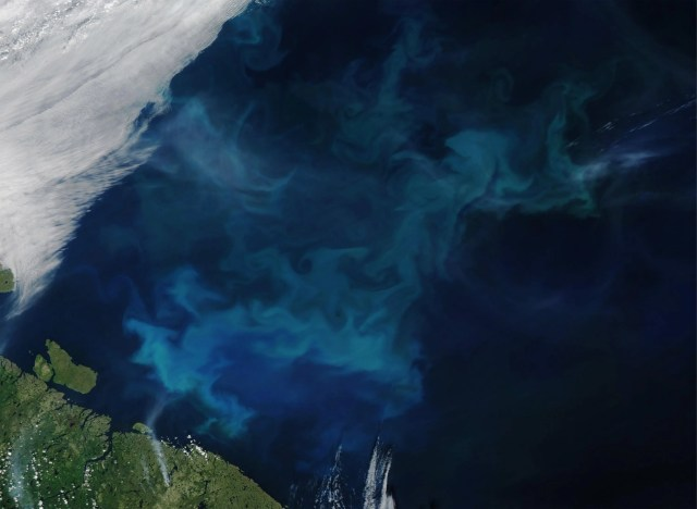 Satellite natural-color image of phytoplankton in the water