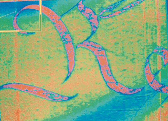 A letter "R" on a historic document is shown in pink outlined in blue, as a result of false-color imaging. The R is speckled with blue. The background of the document is primarily yellow, with swaths of green and blue.