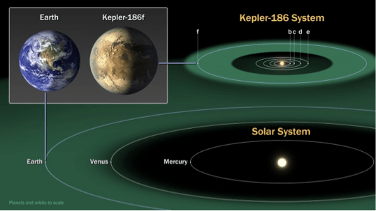 Figure 3. The diagram is a comparison of the habitable zone of the Kepler-186 planetary system with that of our solar-system. The green color marks the region where the heat flux from the star is appropriate for a rocky planet with an atmosphere similar to Earth’s to have liquid water on its surface. The habitable zone around our sun is much larger than that for the Kepler-186 system, but both contain Earth-size planets. Credit: NASA.