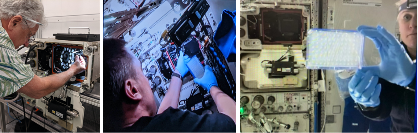 Series of 3 photos (left to right) a man next to the spectrum box, middle - a male astronaut inserting a specimen plate into the spectrum box, right - a female astronaut holding the speciman plate