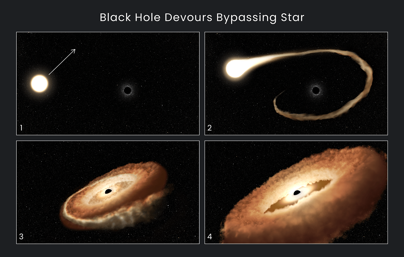 Different Flavors of Black Holes - NASA