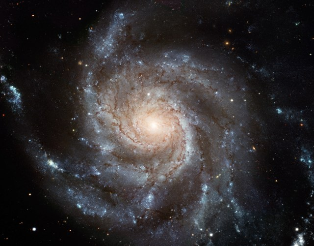 Looking like a pinwheel, this face-on spiral galaxy holds a bright-white core at image center. Arms curve outward from the core. They hold dark dust lanes and bright star-forming regions. All on a black background dotted with stars.