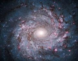 Face-on spiral galaxy NGC 3982. Bright-white core surrounded by spiral arms. Areas of reddish-pink star formation regions dot the spiral arms which appear like a light-bluish haze. Dark rusty-brown dust lanes follow the curves of the spiral arms.