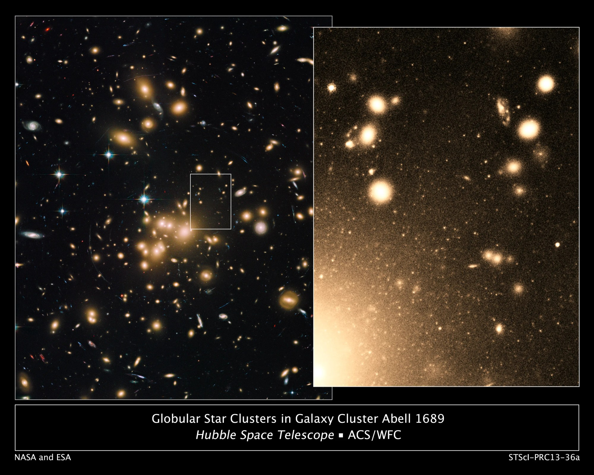Hubble view of globular clusters in abell 1689