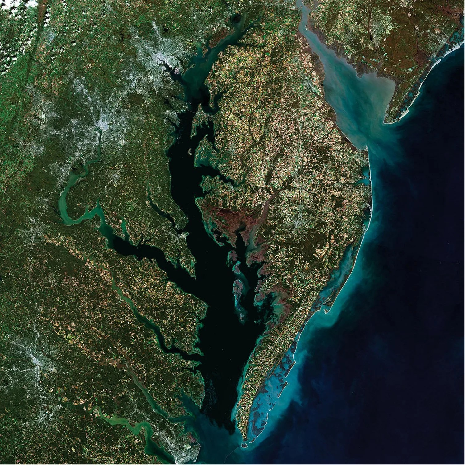 Satellite image of the Maryland coastline illustrating the wash off of nutrients and pollutants at the coastline with light blue.