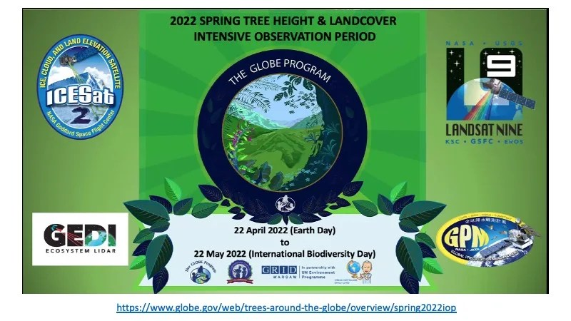 Graphic inviting people to join the Trees Around the GLOBE Intensive Observation Period.