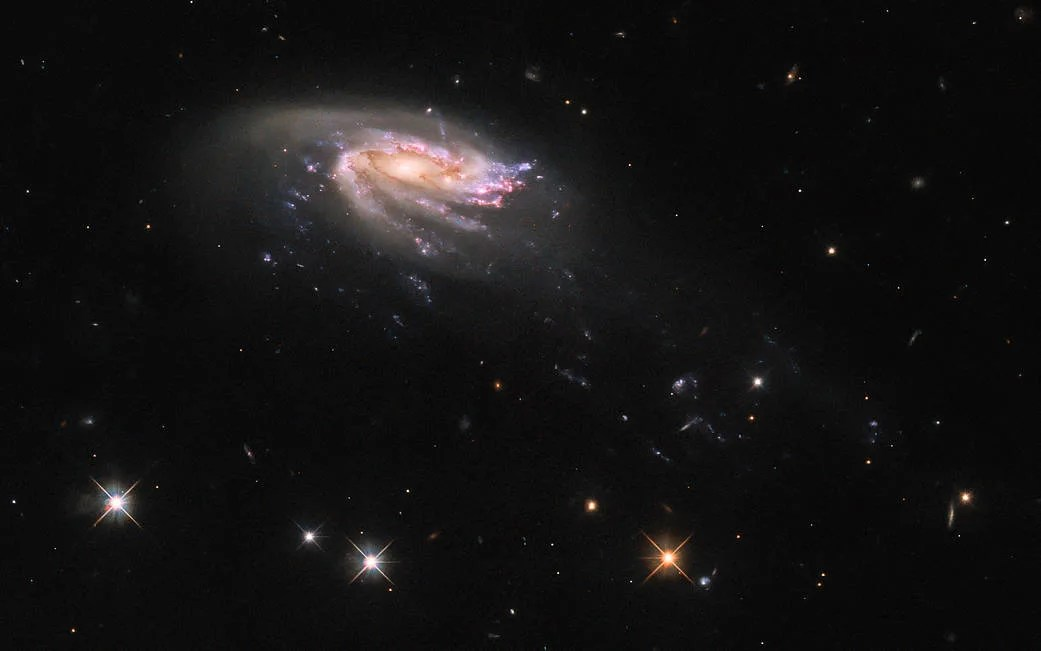 A spiral galaxy that is tilted partially toward us. Its inner disc is bright and colorful, with bluish and reddish spots of star formation throughout the arms. An outer disc of pale, dim dust surrounds it. It has many arms, which are being pulled away from the disc, down and to the right. They stretch into long, faint trails that cross the image. The background is dark and mostly empty, with three bright stars.