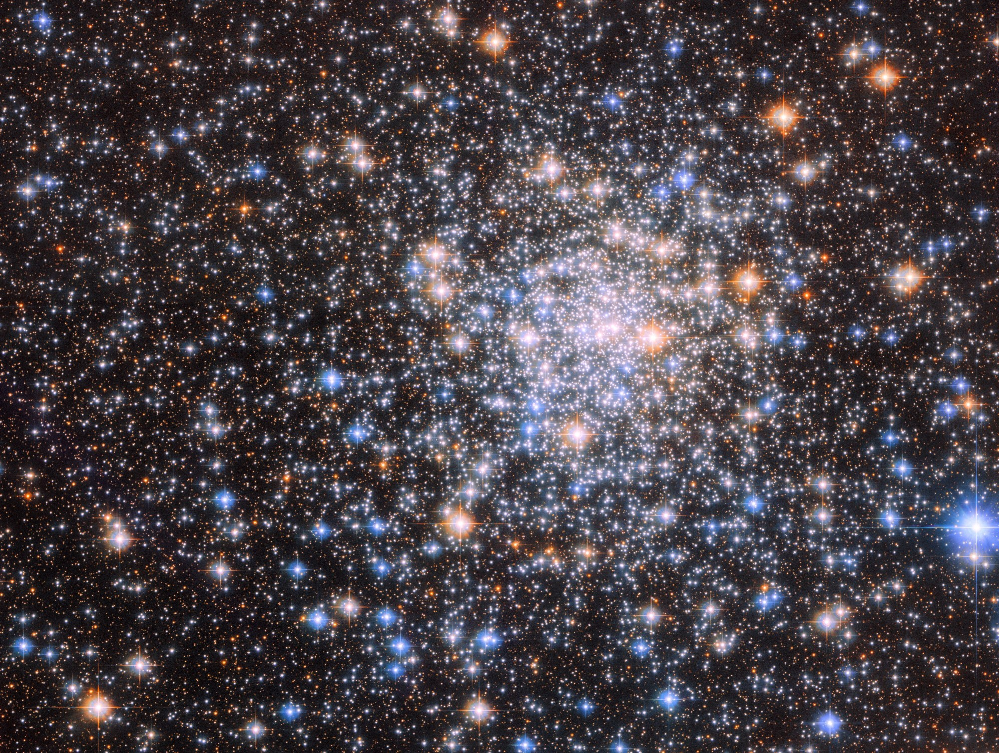 A cluster of stars in warm and cool colors. The whole view is filled with small stars, which become much denser and brighter around a core just right of center. Most of the stars are small, but some are larger with a round, brightly colored glow and four sharp diffraction spikes. Behind the stars, a dark background can be seen.