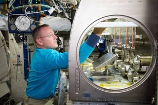 NASA astronaut Barry "Butch" Wilmore setting up the Rodent Reseach-1 Hardware in the Microgravity Science Glovebox aboard the In