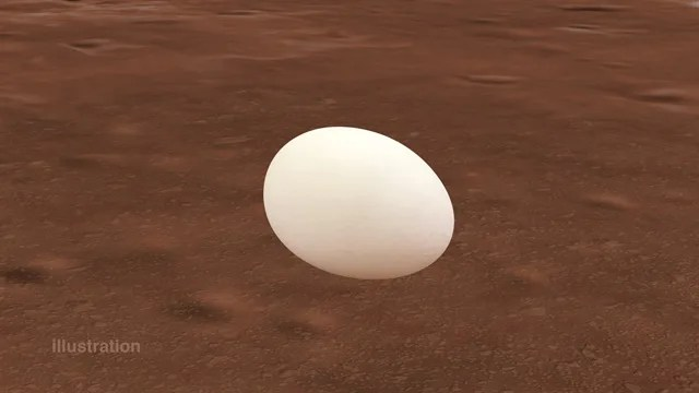 A white egg is shown floating over a red-brown surface.