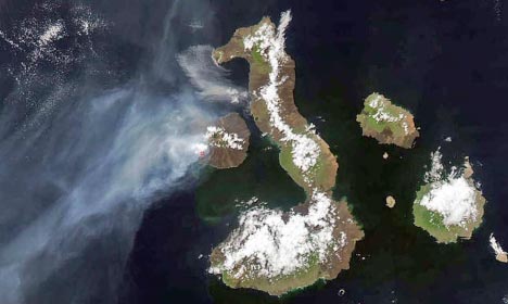 Earth Observatory's coverage of the eruption on Fernandina Island