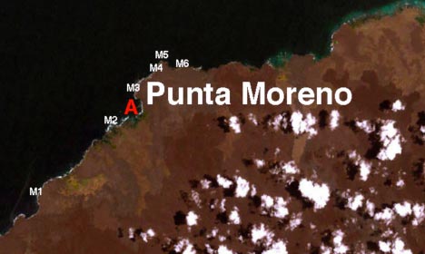 Punta Morena
