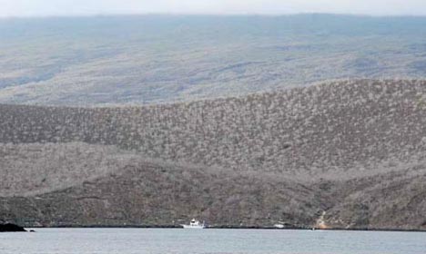 Photo of the M/V Mabel anchored at the head of Tagus Cove