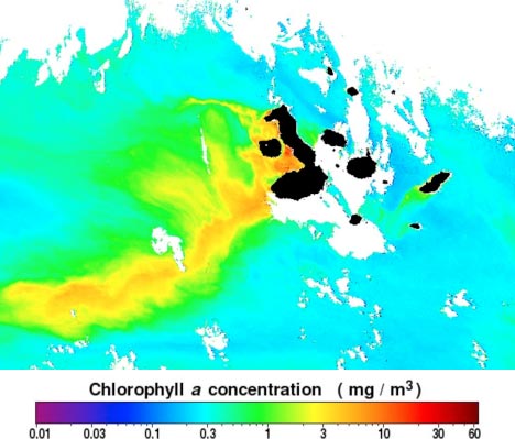 Image depicting clorophyl-a concentration