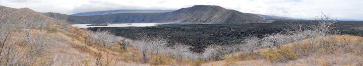 The land of Galapagos