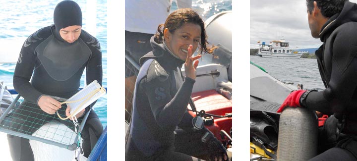 Yellow eggs from the bird? Not quite. Ripe passion fruit.