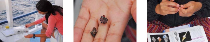 Analyzing, researching