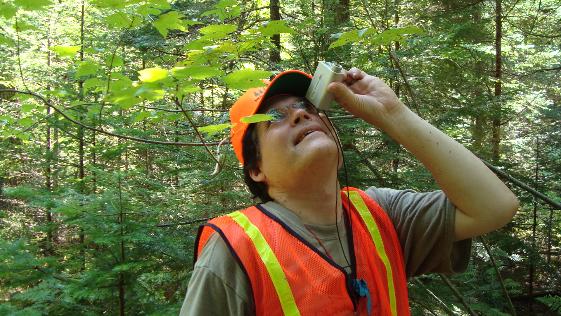 Bruce Cook is demonstrating the use of a hypsometer to measure tree height.  Because accuracy is so important in ground truth validation, the team devoted an afternoon to making sure all instruments were calibrated and everyone used the same methods for measurement. 