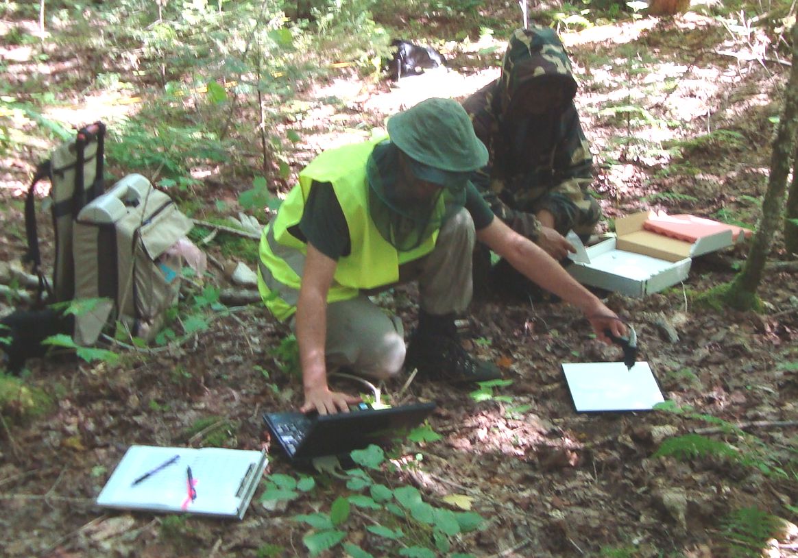 Jeremy Rubio and Guoqing Sun measuring forest floor reflectance in the Penobscot Experimental Forest.  The light reflected back from the forest floor interacts with remote sensing instruments. In order to accurately measure biomass, reflectance needs to be well understood. 