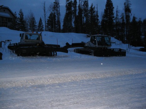 Grooming cats Grooming cats