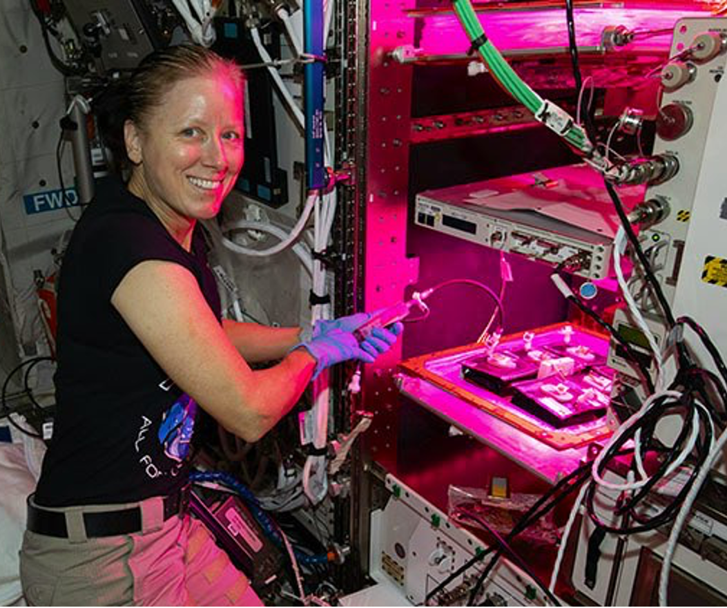 Photo of a young female student watering seeds in a grow box emitting a pink glow (left) and a female astronaut water seeds on the International Space Station in a grow box that is also emitting a pink glow.