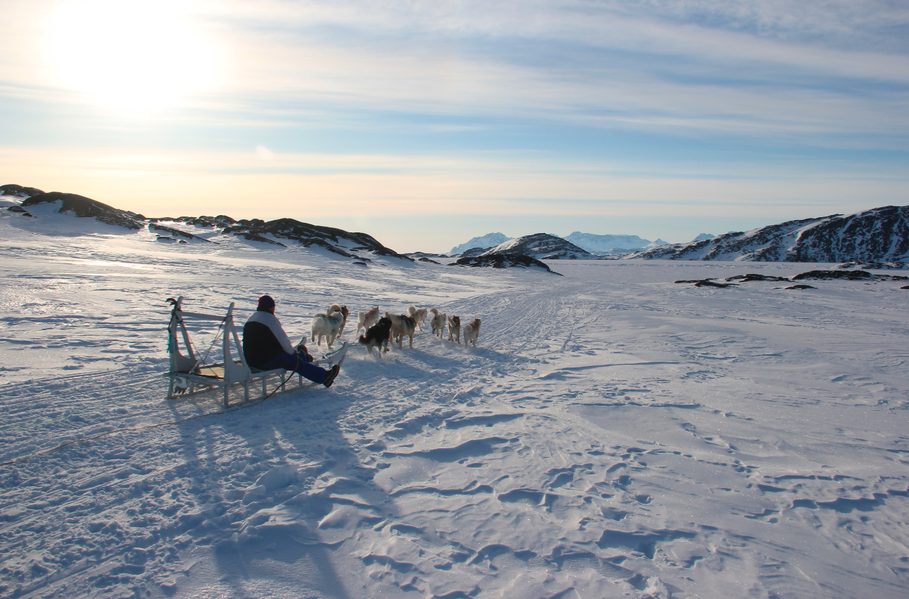 Watching dogsleds go by in Kulusuk.