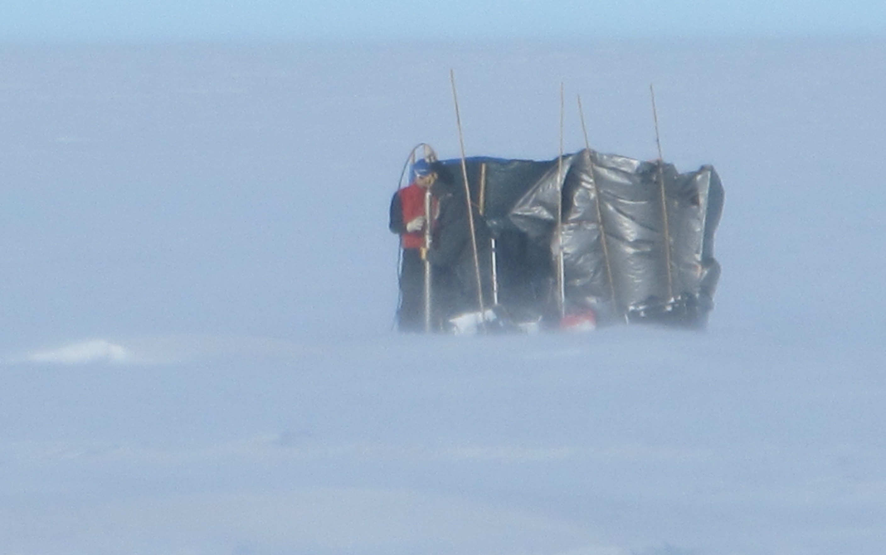 Lora and Ludo drilling behind a windbreak during a windy day, with a lot of blowing snow near the ground.