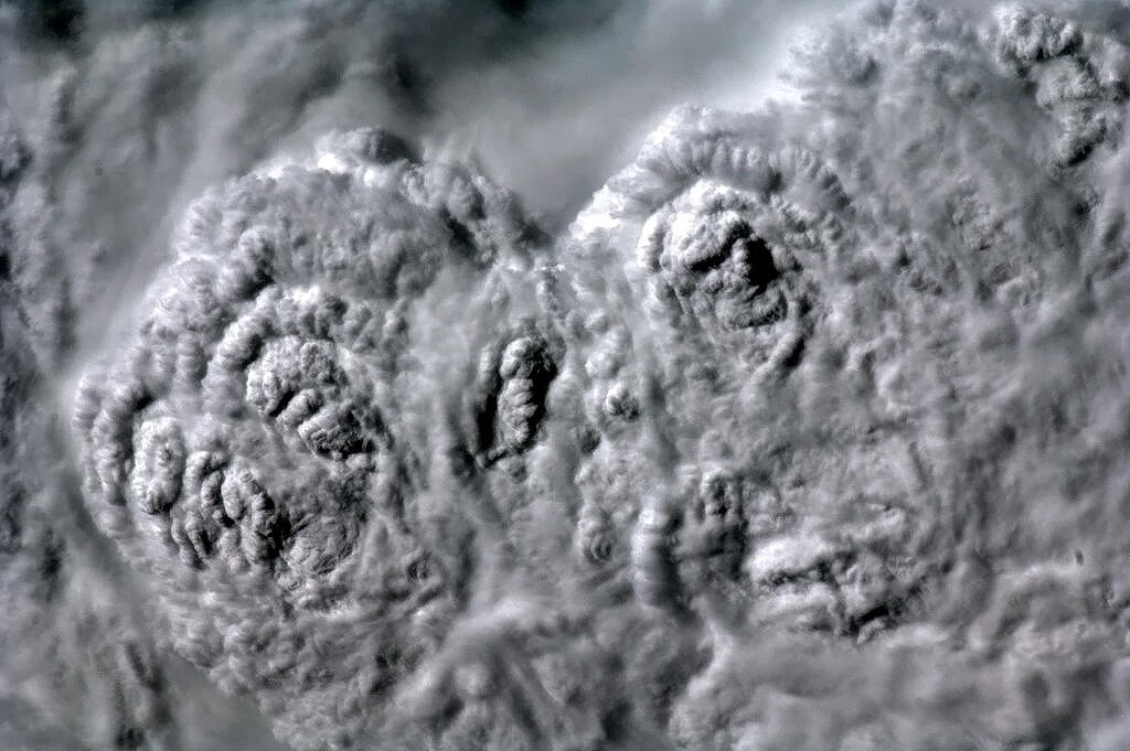 BFHNvgbCcAAEyOF.jpg_large