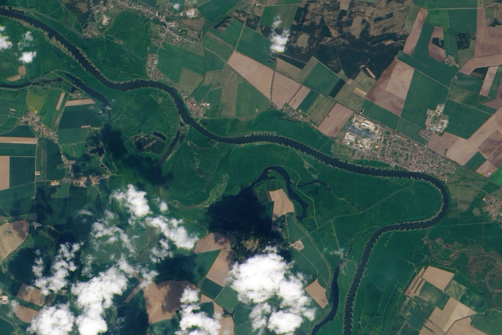 elberiver_oli_2013126