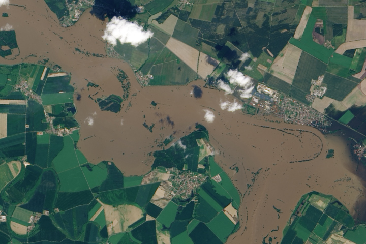 elberiver_oli_2013158