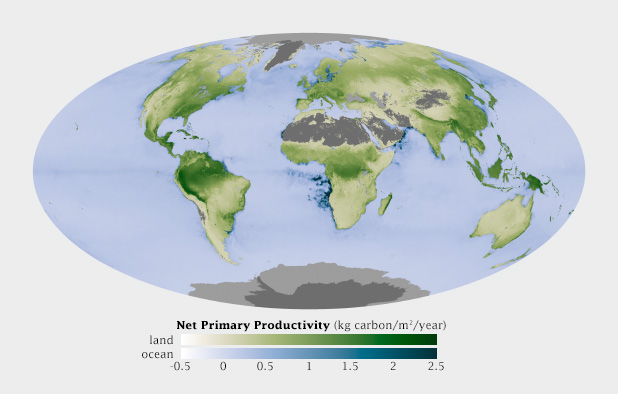 Global map of Net Primary Productivity, on land and in the oceans.