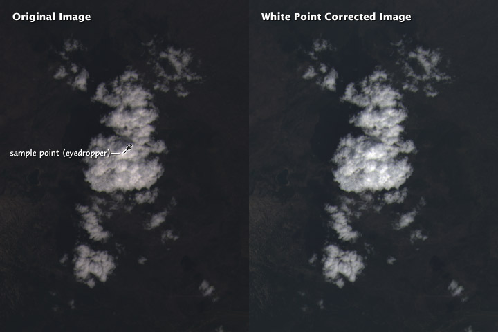 White point corrected image.