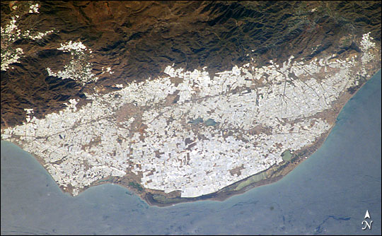 ISS008-E-14686 (greenhouses 2004)