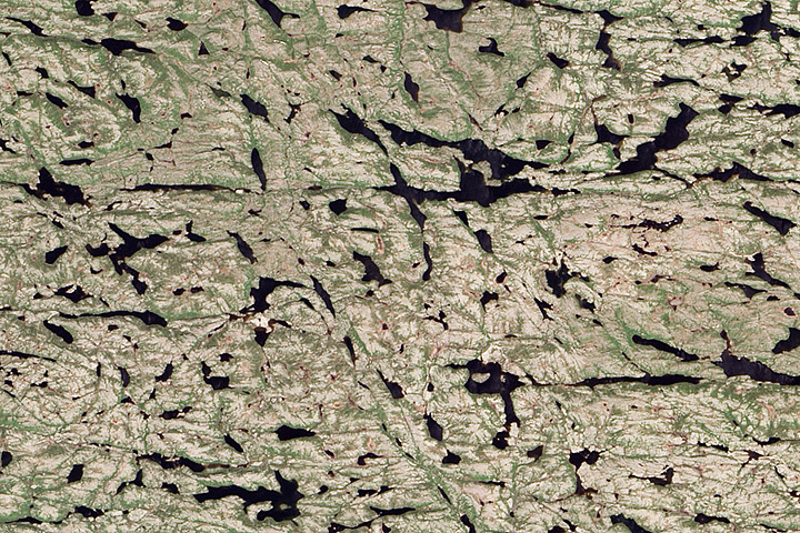 puzzler_november2013