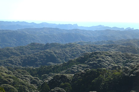 The view from a park in Minamitane where local can watch launches. Tanegashima's landscape is folded mountains and the ocean on the horizon. Credit: NASA / Michael Starobin
