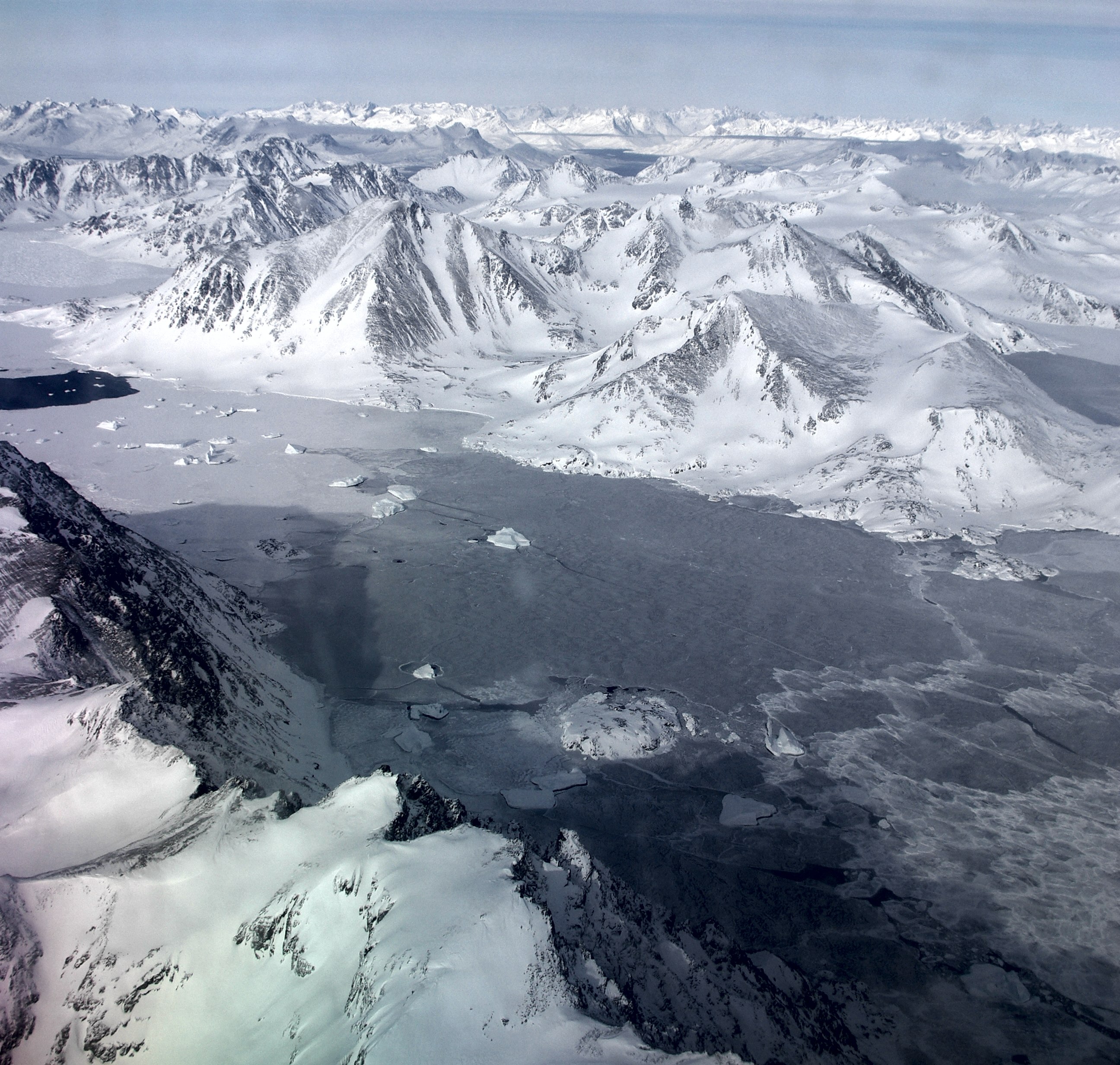 Icebergs trapped in sea ice (Credit: Ludovic Brucker)