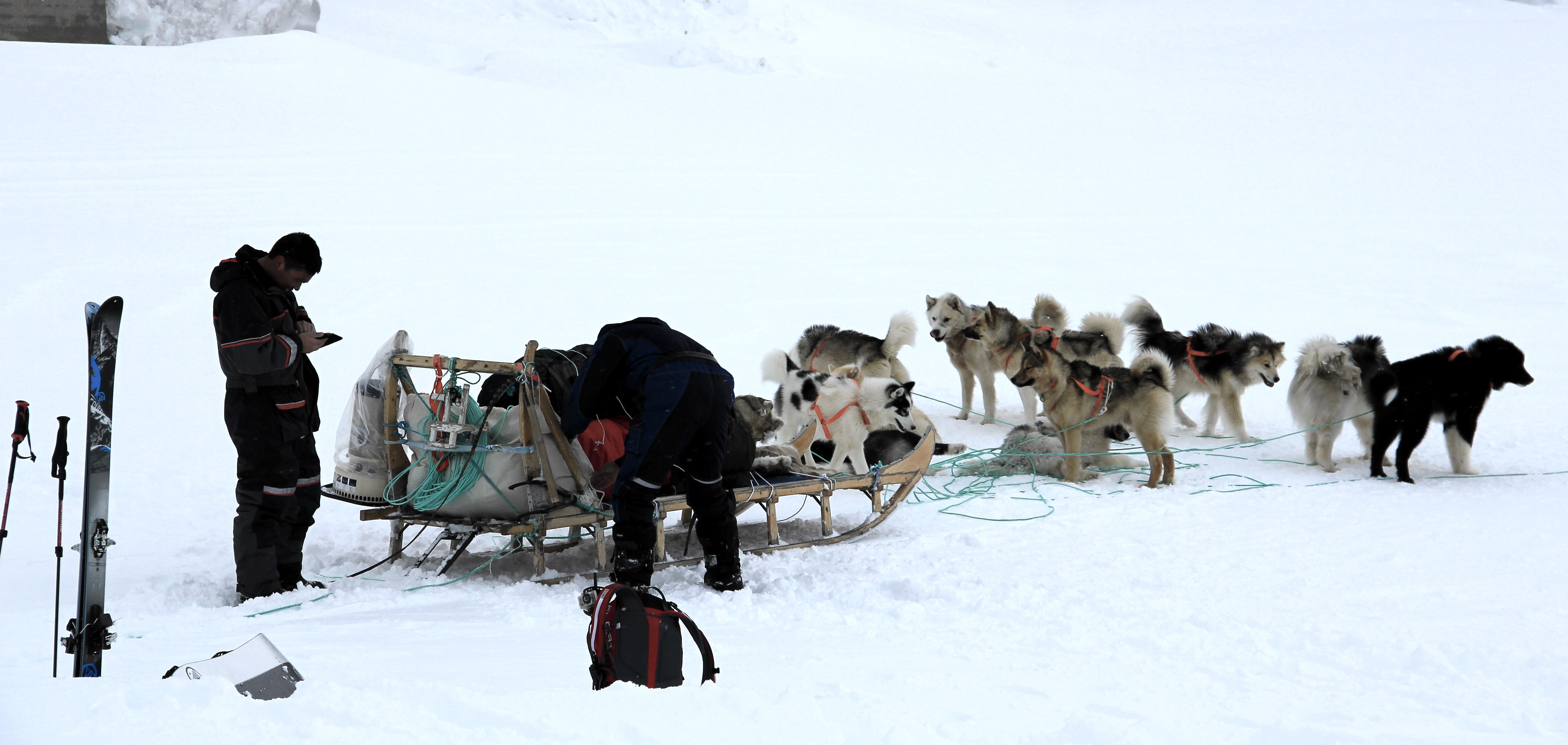 A dog sled getting ready to leave. (Credit: Clément Miège.)
