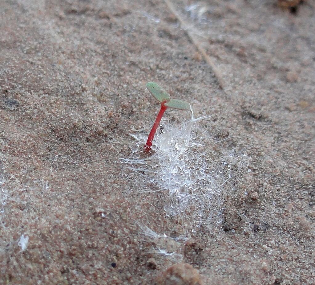 Bmaa8rVCQAA5uIE.jpg_large